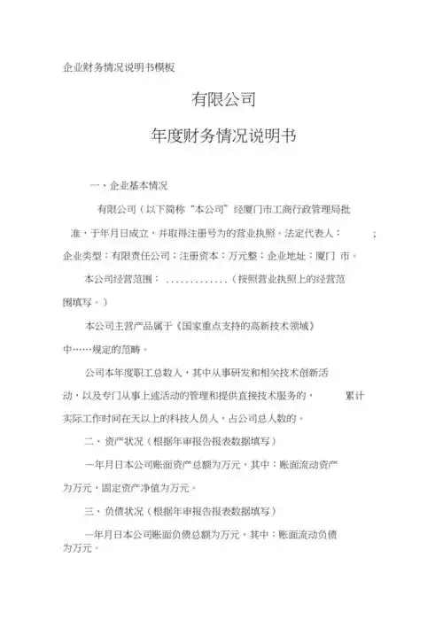 企业财务情况说明书模板