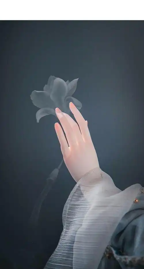 手控党福利,关于手的唯美古风插画壁纸头像
