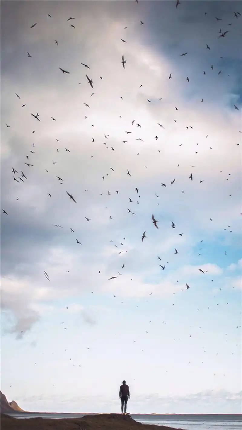 高清壁纸无水印