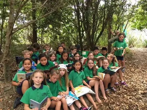 新西兰公立小学全真"插班"微留学