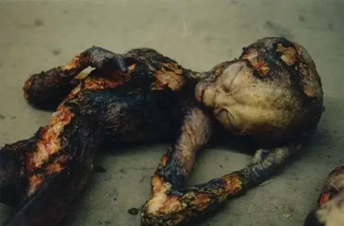 这些外星人的照片是真的?你真相信外星人存在吗?