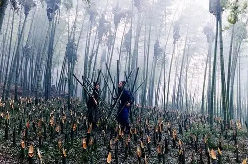 这七部好评如潮的国产电影 全是在重庆拍的