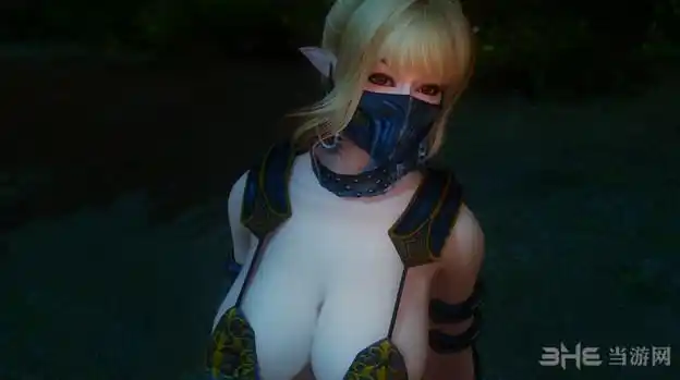 上古卷轴5黑檀比基尼mod