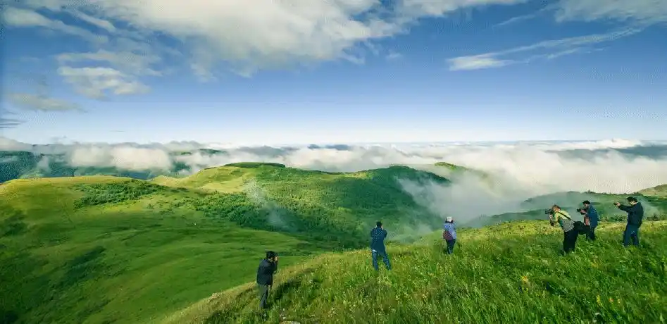 黑茶山饮马池亚高山草甸