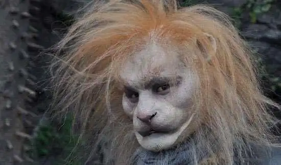 老实人吃亏妖怪太老实了也倒霉西游记中最善良却最悲惨的妖怪