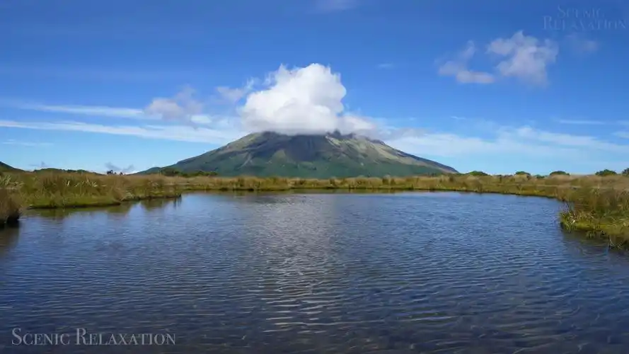 4k-新西兰-风景实录-放松解压 治愈专用