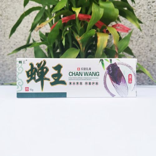 蝉王乳膏抑菌软膏皮肤外用婵王乳膏15克大人儿童 2盒