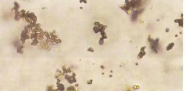 图谱鉴别:学会分清这些「似像非像」的结晶