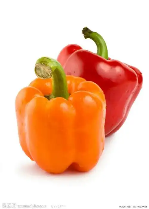 小画家社团之青椒 - 美篇