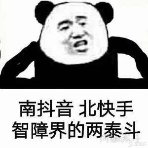 南抖音北快手智障界的两泰斗沙雕熊猫头表情