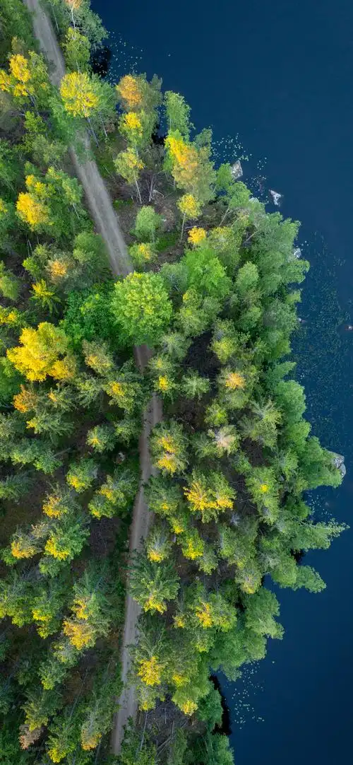 唯美高清风景竖屏壁纸搜索