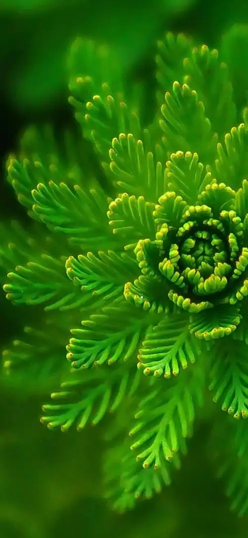 1080_2340竖版 竖屏