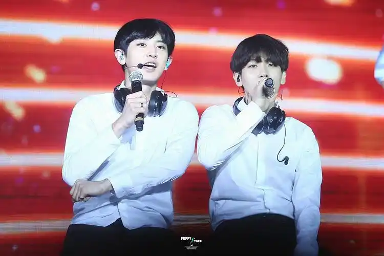 朴灿烈 边伯贤 chanyeol baekhyun 灿白 高清壁纸 来源:微博