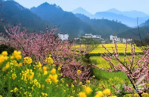 郊外美丽的景色 ,大自然的多彩 ,青山连绵,山花烂漫