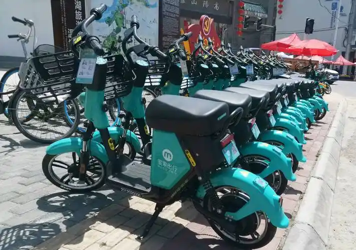 共享交通经济_共享经济意味着资源的共享申论_国家共享经济鑫圆共享