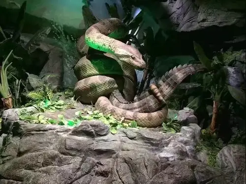 广州长隆野生动物园