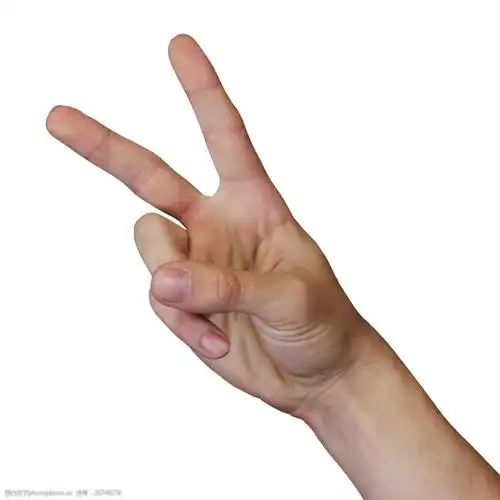 唯美手势素材