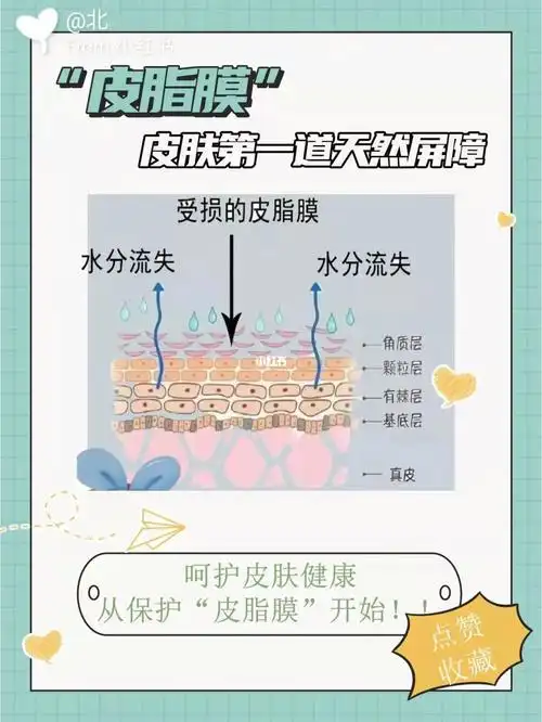 皮脂膜皮肤第一道天然屏障