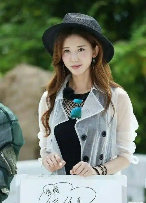 林志玲讨回了《极限挑战》的通告费,共计400万元_元纯_节目_公司