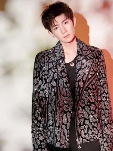 王源水钻豹纹皮衣帅气写真图片