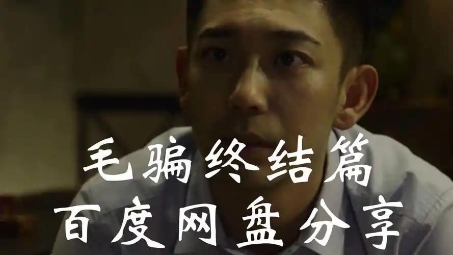 毛骗终结篇百度资源分享