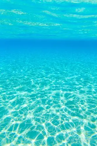 美丽的水下场景