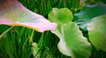 369_204gif 动态图 动图