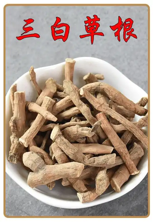 三白草根中药材 百节藕 天性草根 白花莲 塘边藕 无硫 三白草根(250克