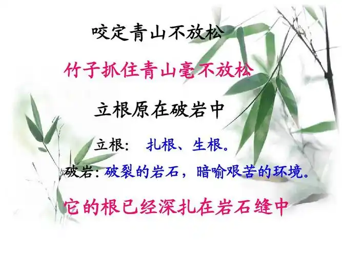 人教版小学语文六年级下册《竹石》ppt