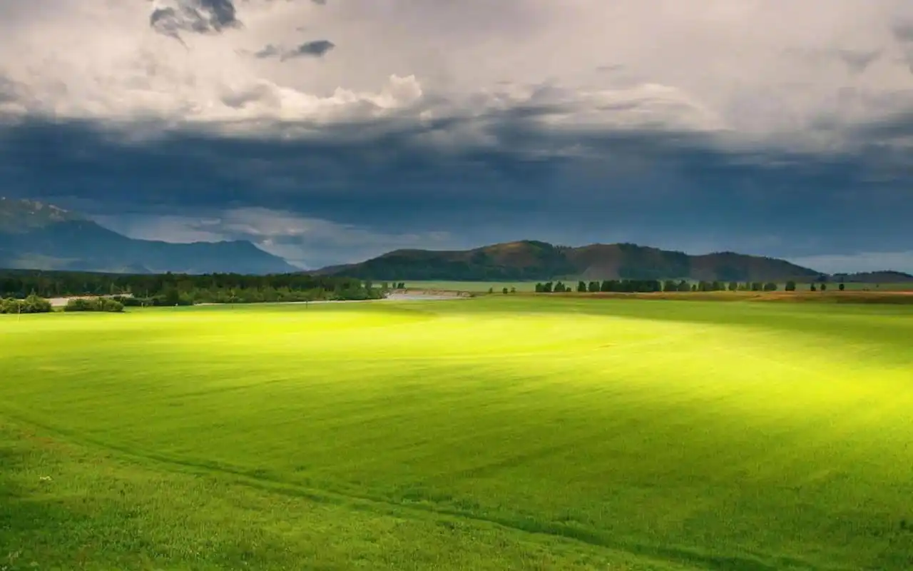 唯美护眼绿色风景图片电脑壁纸高清大图预览1920x1200_风景壁纸下载_