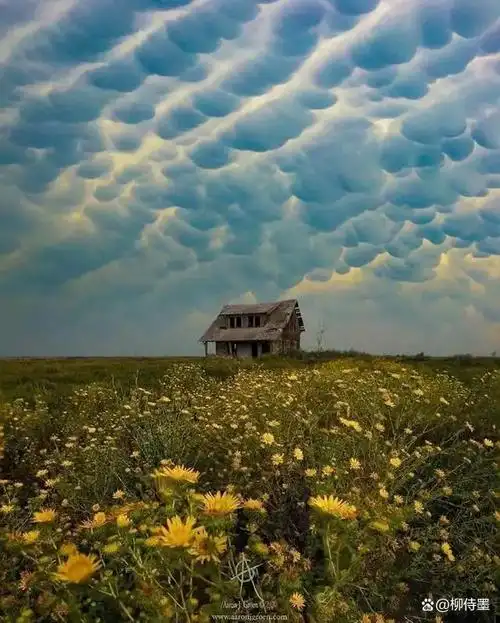 夏天好看的云朵,你知道怎么拍照片吗?方法简单学起来