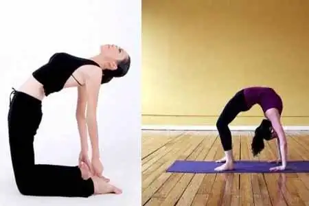 练下腰的好处三大作用让你迅速爱上它