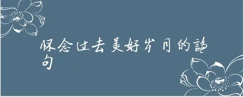 怀念过去美好岁月的诗句