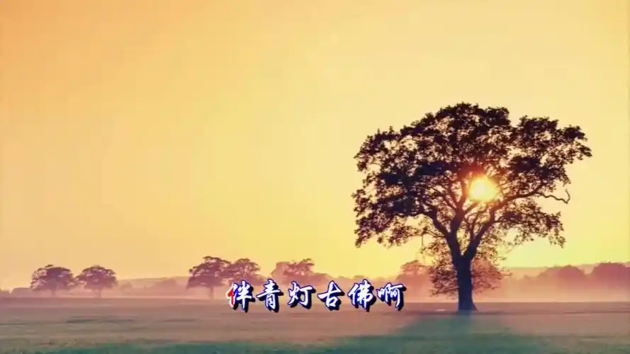 印良法师一首佛教歌曲《放下》心情不好时听一听,可以放下很多!