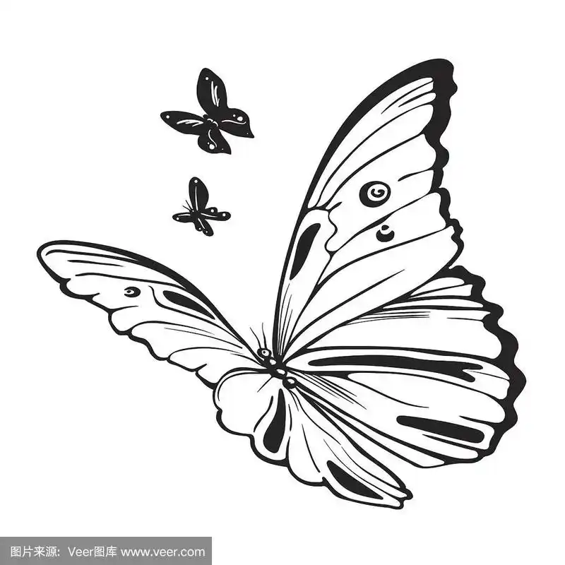 蝴蝶黑白插图