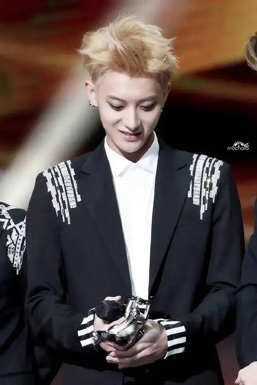 黄子韬 tao exo 2015.1.20