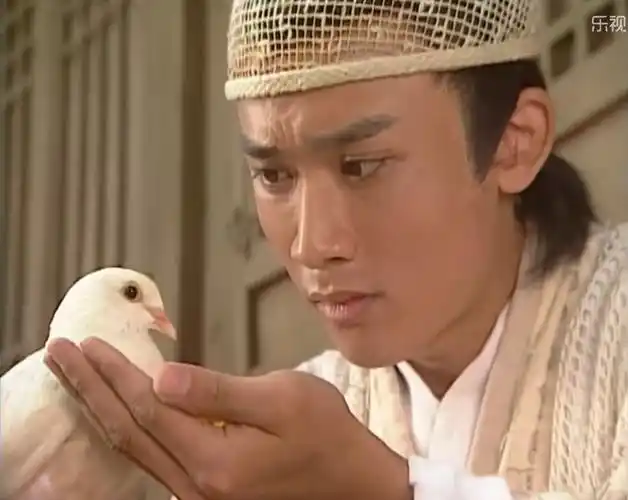 怎么评价《机灵小不懂》?