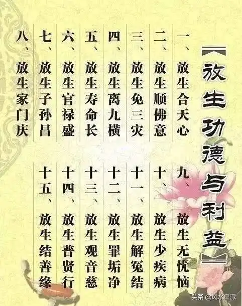 佛说因果,不能杀生,保护动物,人人有责,国家应该全面禁止杀生,捕捉