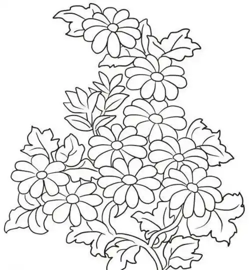 【黑白线稿】植物,花卉白描素材,线稿素材