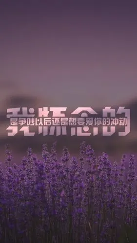 文字控高清壁纸 锁屏 纯文字伤感文艺青春 正能量励志 另外代做美图