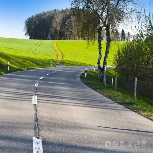 弯弯曲曲的柏油马路之间清晨在瑞士的牧场.瑞士景观与草甸