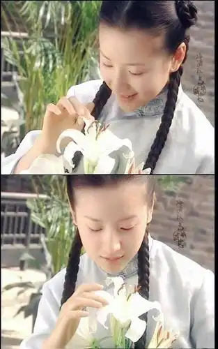 董洁《金粉世家》中惊艳了时光的几个画面