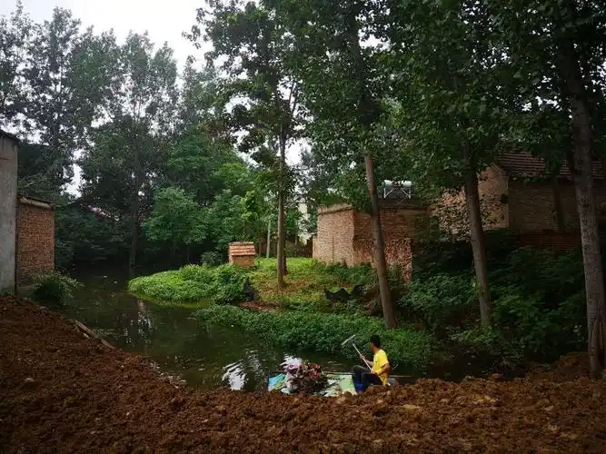 鹿邑县邱集乡持续开展爱国卫生运动