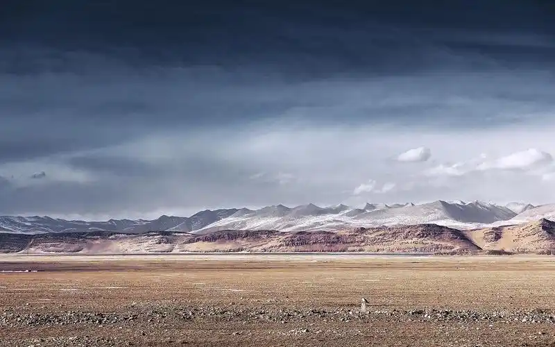 为什么在青藏无人区,晚上烧火取暖等于找死?过来人告诉你答案