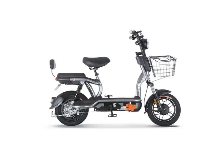 绿源电动车梅花鹿图片