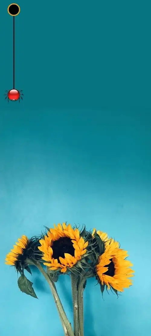 换p50pro了我把mate40所有挖孔壁纸都留给大家