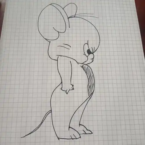 初中数学的教资面试咋整啊