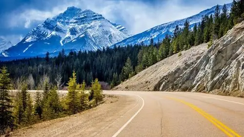 通往绿色森林高清桌面壁纸的道路:宽屏:高清晰度:全屏