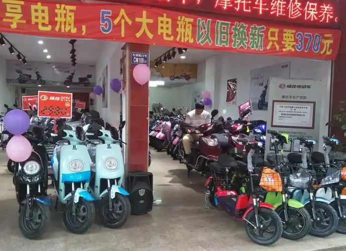 那么,我建议你购买品牌电动车.