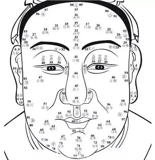 从面相五官看五行,面相五官五行,面相五行图解行运分析